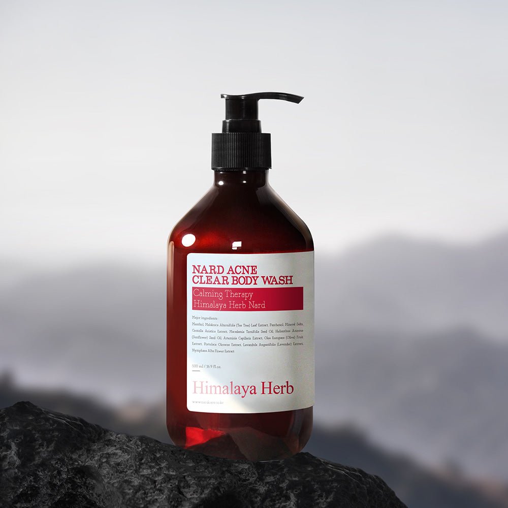 Décris l'image en français : NARD Acne Relief Body Wash 500ml Himalaya Herbe, flacon pompe sur rocher, fond montagnes