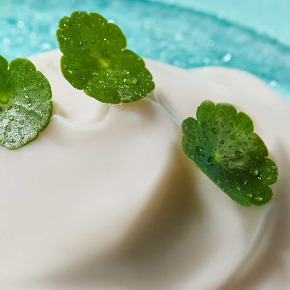 NEOGEN Hyal Exosome Cream 40ml : pot de crème hydratante NEOGEN sur texture blanche, feuilles vertes et fond spa.