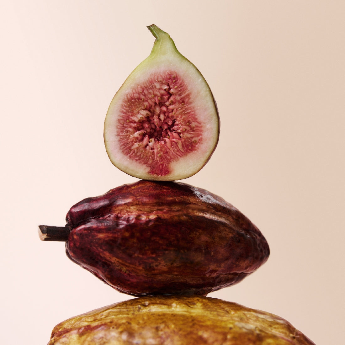 OSULLOC Fig Chocolate Black Tea 20 P, marque OSULLOC, figue et cacao sur fond clair, photo produit.