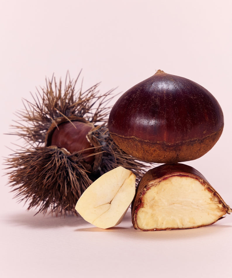OSULLOC Marron Cream Black Tea 10 p, marrons et thé noir crème sur fond clair, marque OSULLOC, visuel produit.