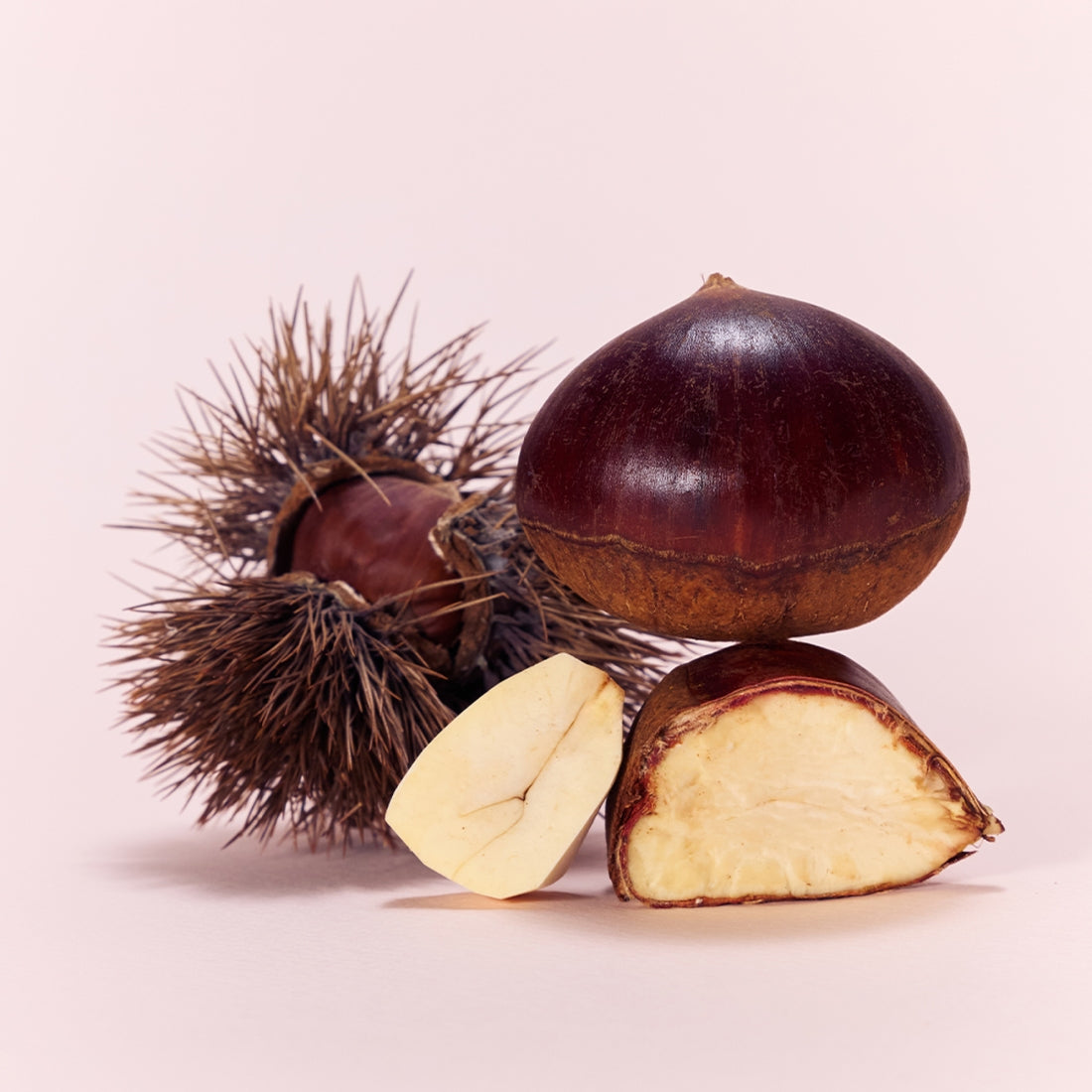 OSULLOC Marron Cream Black Tea 10 p, marrons et thé noir crème sur fond clair, marque OSULLOC, visuel produit.