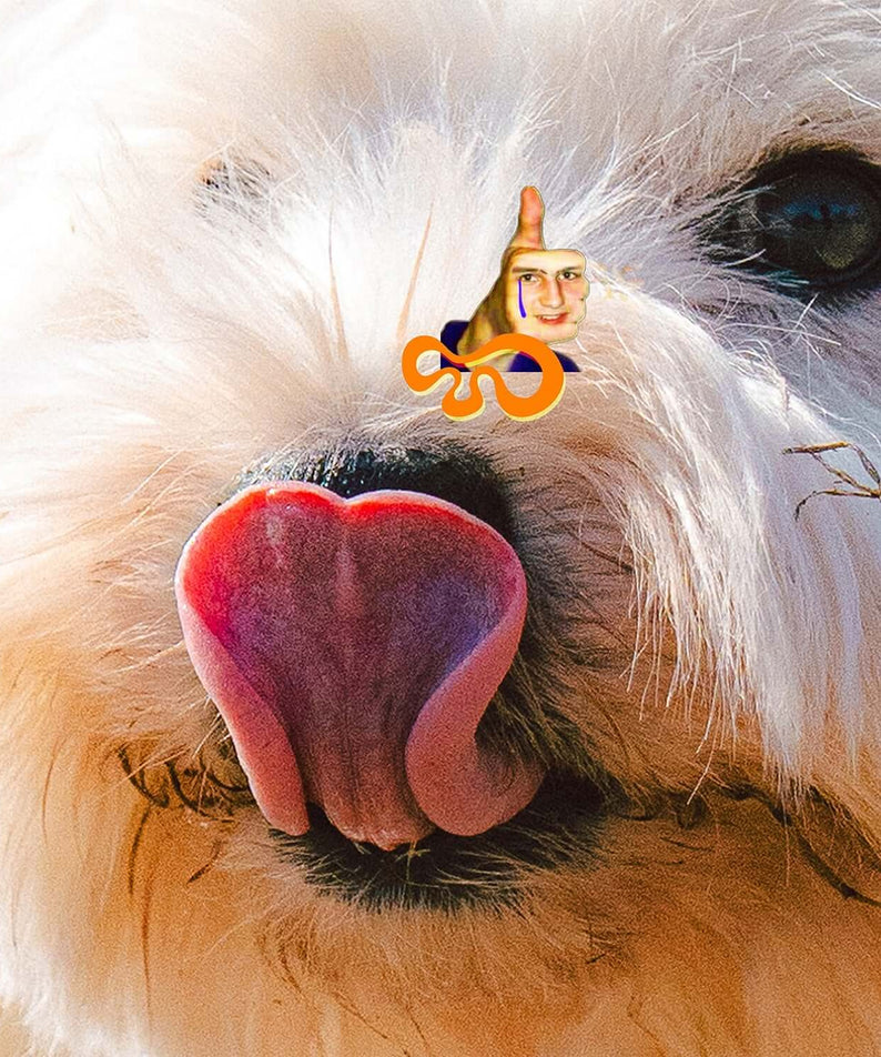OTIS LIM - [Playground] - Album Kpop : photo portrait chien blanc avec tête, nez en cœur, vibe playful, marque OTIS LIM.