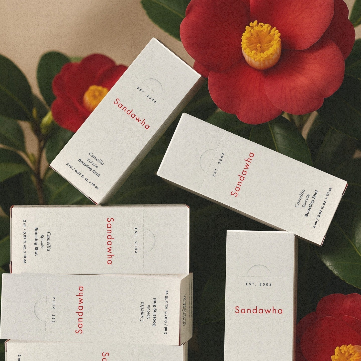 SANDAWHA Camellia Spicule Boosting Shot