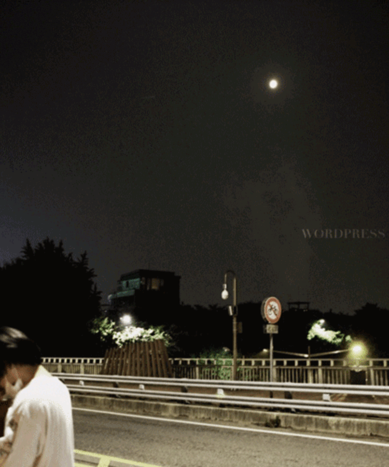 SHARKRAMA - [WORDPRESS] - Album Kpop, visuel de nuit urbaine avec route et panneau WordPress, ambiance vibrante.