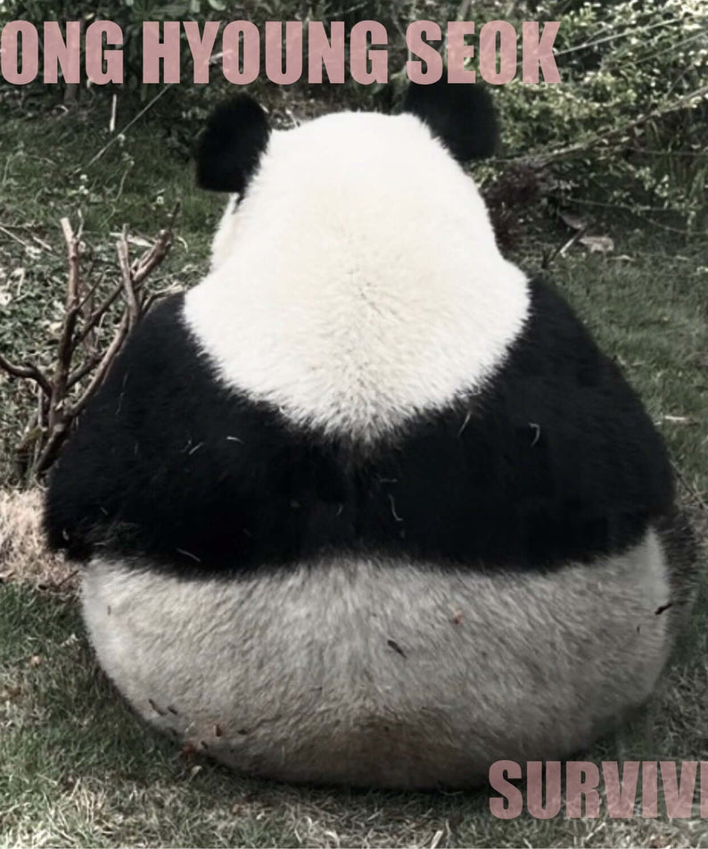 SONG HYUNGSEOK - [SURVIVE] - Album Kpop : panda en peluche sur herbe, texte “SURVIVE”, ambiance visuelle de survie.