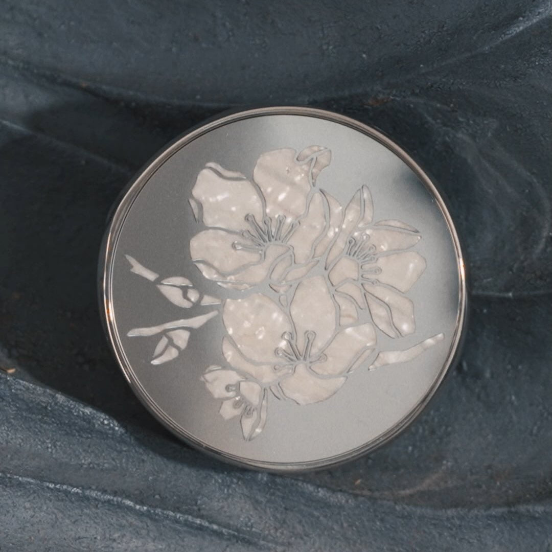 SULWHASOO Perfecting Cushion Limited Edition 12g