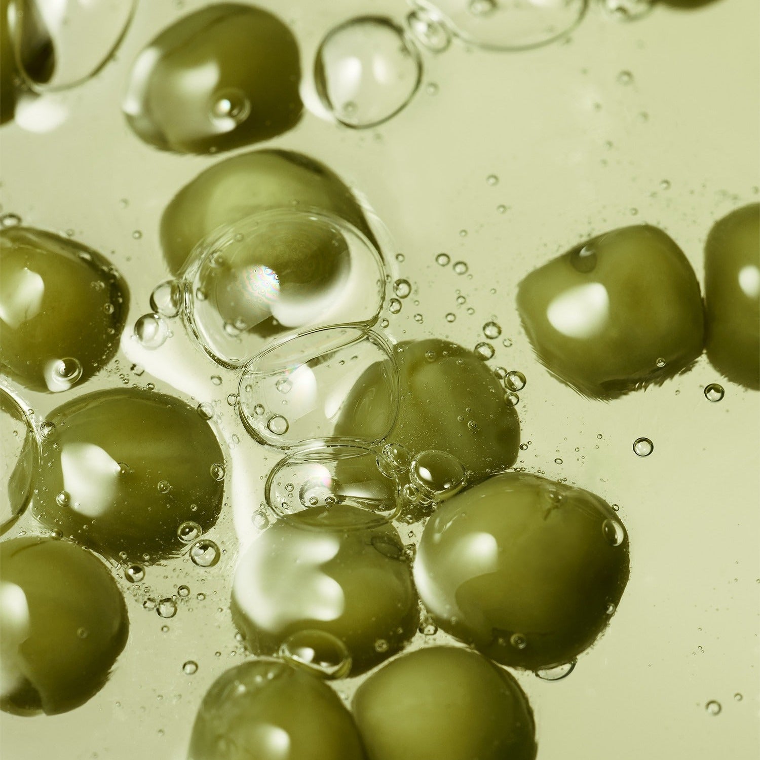 WHAMISA Organic Pea Fermented Shampoo For Scalp Care 450ml