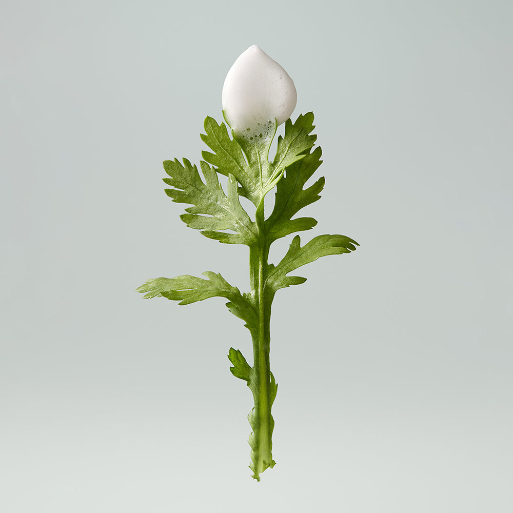 WHIPPED Mug Tree Vegan Whipping Bubble Serum 92ml : sérum vegan “mousse” sur un visuel naturel de feuille, produit.