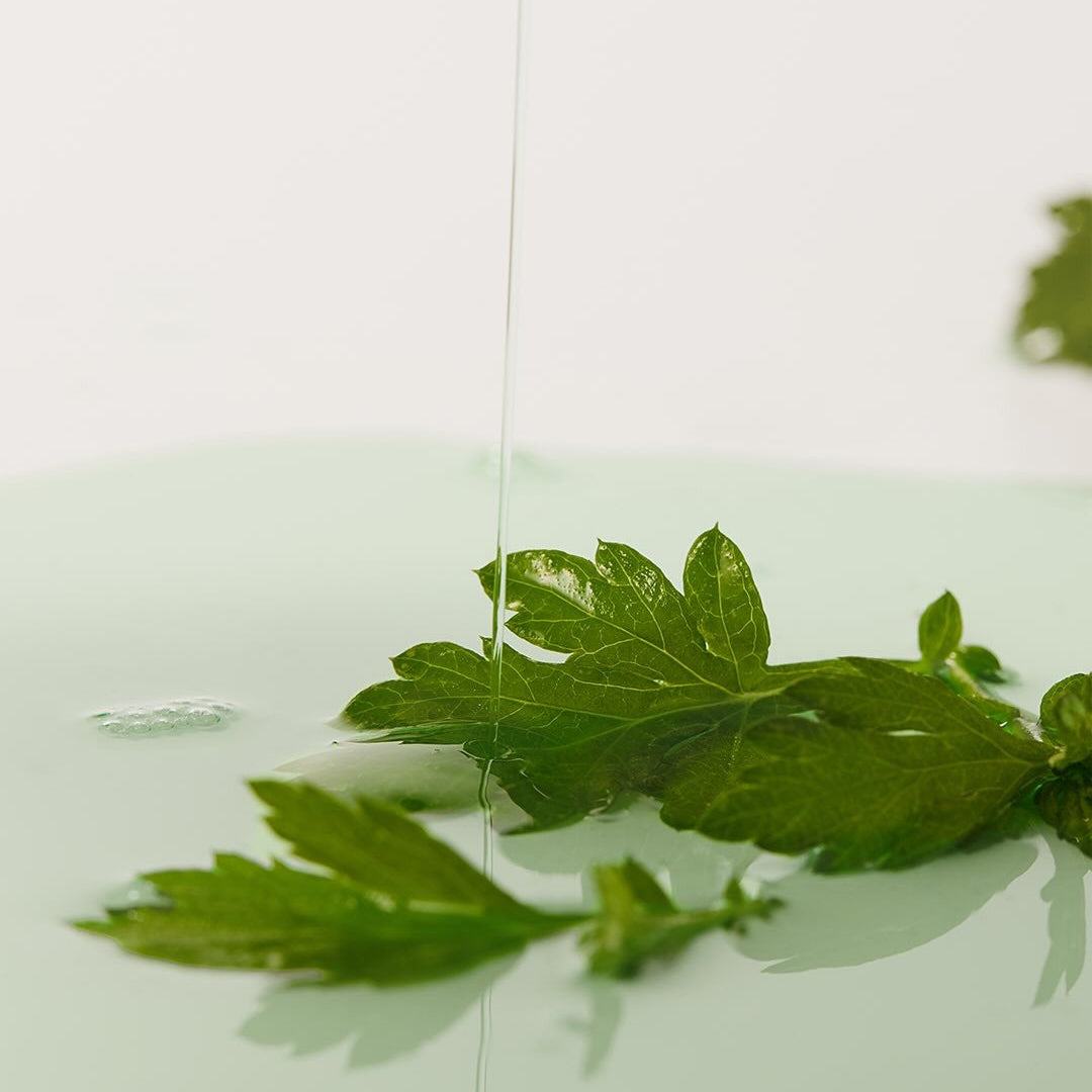WHIPPED Mugtree Vegan Pore Cooling Squeeze Mask 1ea : masque cooling avec feuilles vertes en contexte visuel spa