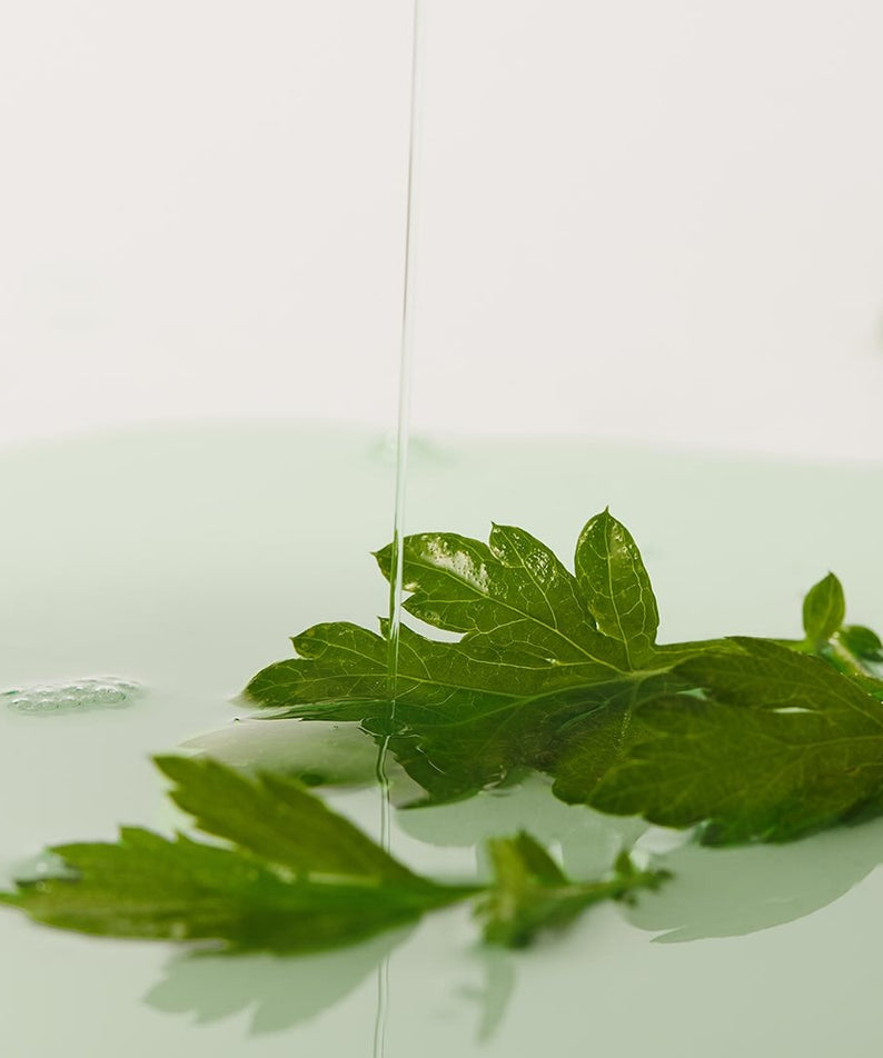 Feuilles de menthe dans le WHIPPED Mugtree Vegan Pore Cooling Squeeze Mask 1ea