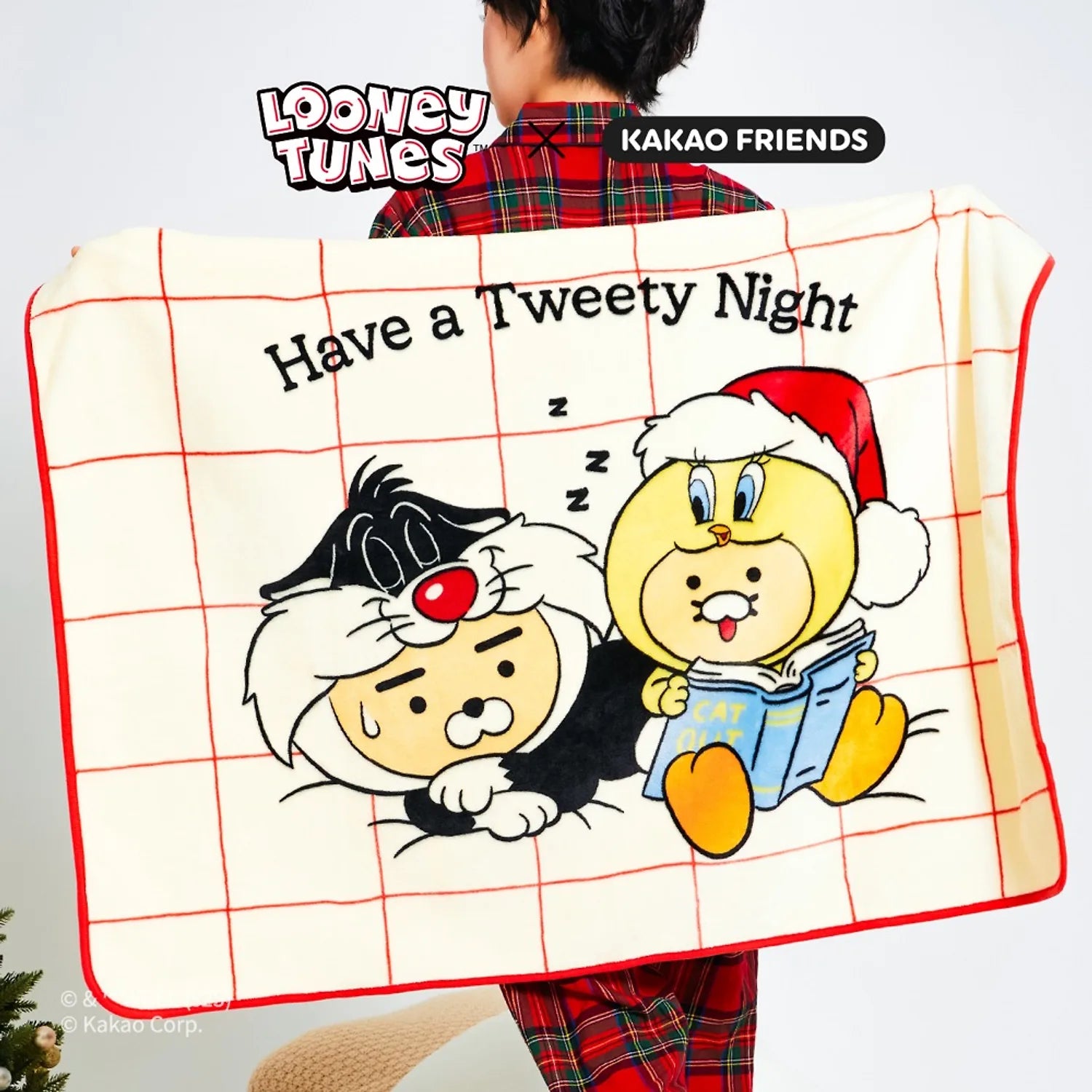 KAKAO FRIENDS  Looney Tunes X Friends Blanket Little Ryan & Baby Chunsik