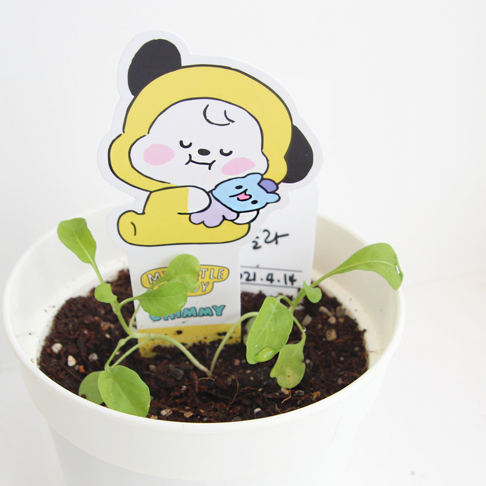 BT21 Seed Stick Kit Chimmy on sales on our Website !