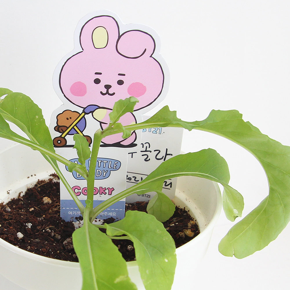 BT21 Seed Stick Kit Cooky on sales on our Website !
